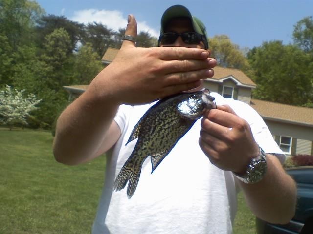 crappie trip near Hartly