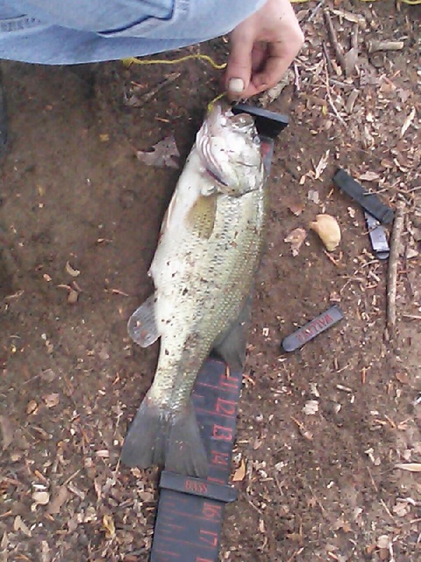 Claymont fishing photo 5