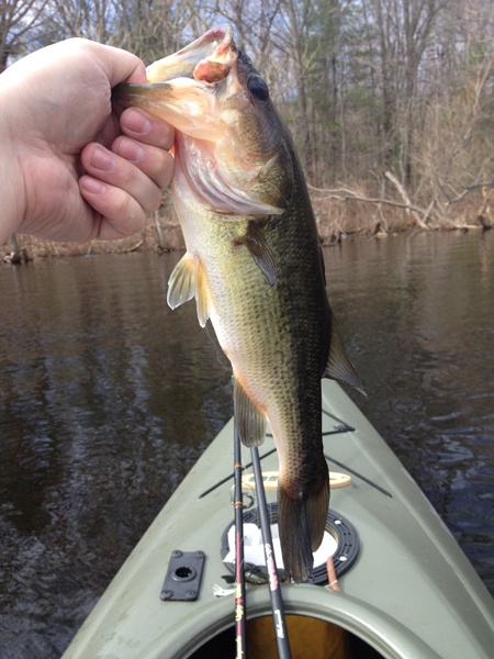 First Keeper - 1lb 7oz