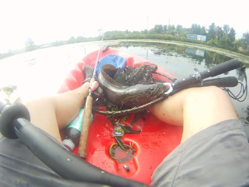 Northern Snakehead on Yak