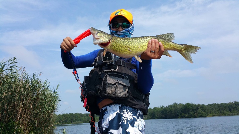 Monster Pickerel