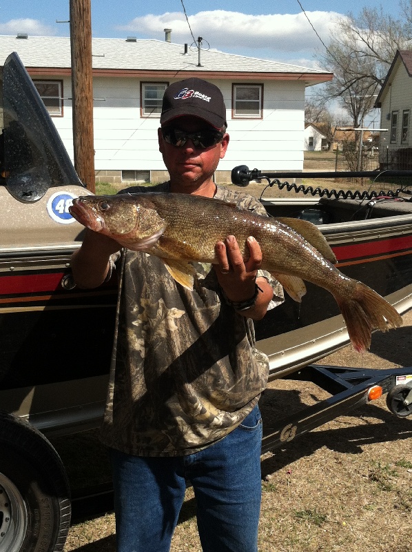 walleye/bass