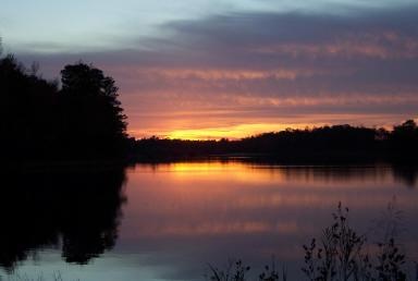 Waples Pond