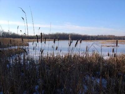 Fleetwood Pond 