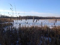 Fleetwood Pond 