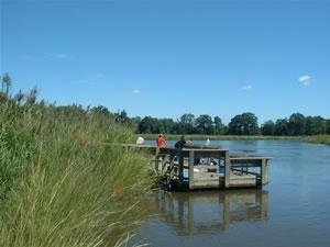 Mud Mill Pond